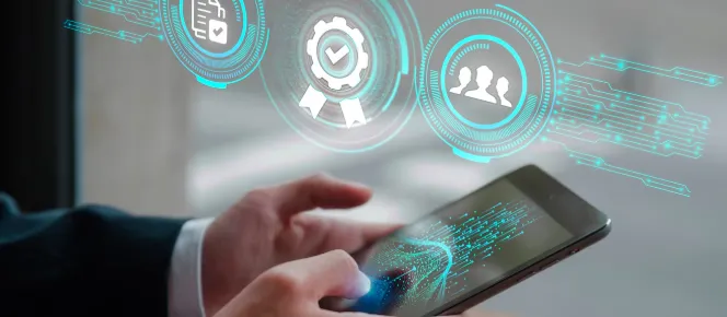 Bee Accounting: Solusi Akuntansi Lokal dengan Fitur Lengkap