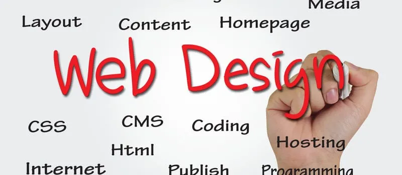 Only 3 Months, This Website Goes Straight to Page One! The Secret Is in This Web Service