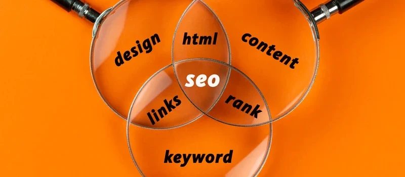 Mengapa UMKM Wajib Memiliki Website Profesional Meski dengan Budget Minim