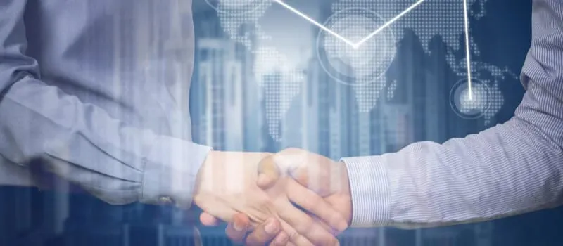 Jenis-Jenis Software: Dari Gratis hingga Berbayar, Mana yang Lebih Baik?