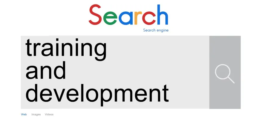 Rekomendasi Software Gratis dan Berbayar untuk Web Developer Pemula