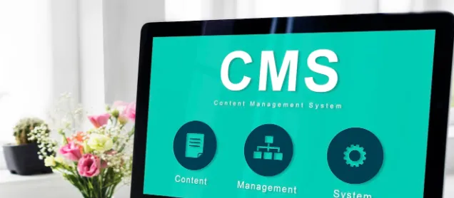 Cara Memilih Tema CMS yang SEO Friendly