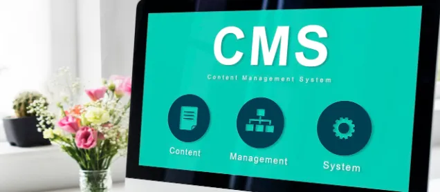 Panduan Memilih Web Hosting SSD Murah agar Website Kamu Makin Ngebut