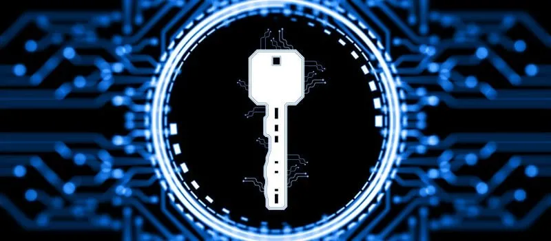 Apakah Anda Aman? Cara Mendeteksi Kebocoran Data di Laptop dan Smartphone