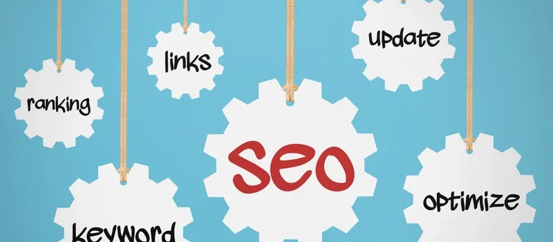 Mau Website Portofolio Profesional? Ini Layanan Pembuatan Website Murah yang Cocok untuk Anda