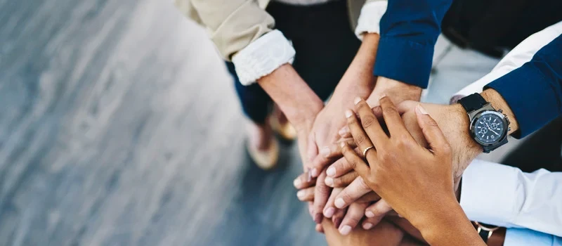 Fitur Wajib Website Bisnis: WhatsApp Chat, Formulir, dan SEO