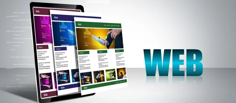 Website vs Marketplace: Mana yang Lebih Menguntungkan untuk Jualan?