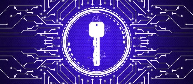 5 Cara Efektif Menghindari Ancaman Malware di Perangkat Digital