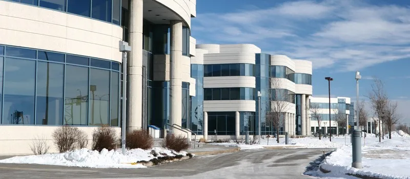 Kenapa Bisnis Anda Membutuhkan Website, Apa Pun Sektornya?