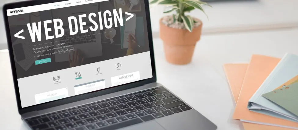 5 Langkah Membuat Tampilan Search Website yang Mudah dan Cepat Ditemukan