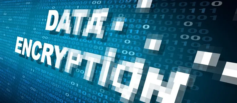 7 Fakta Pogumax yang Jarang Diketahui Tapi Sangat Membantu